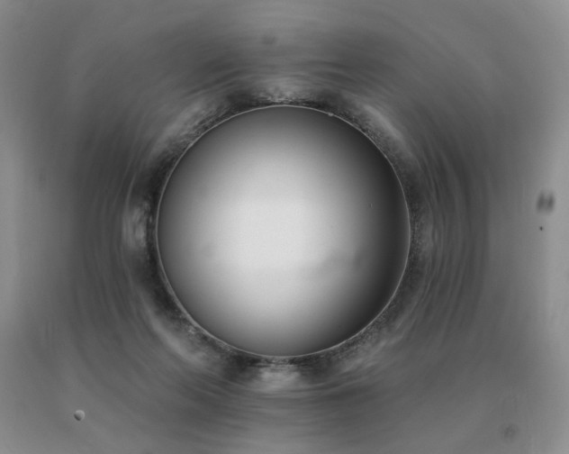 X0000091070214200708061308