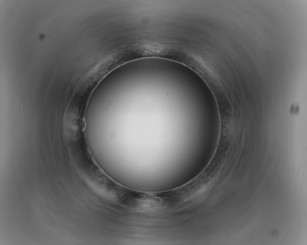 X0000091070215200708061308