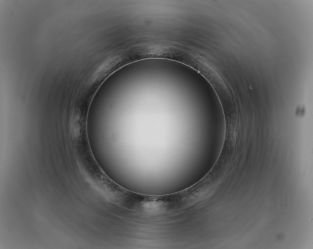 X0000091070216200708061308