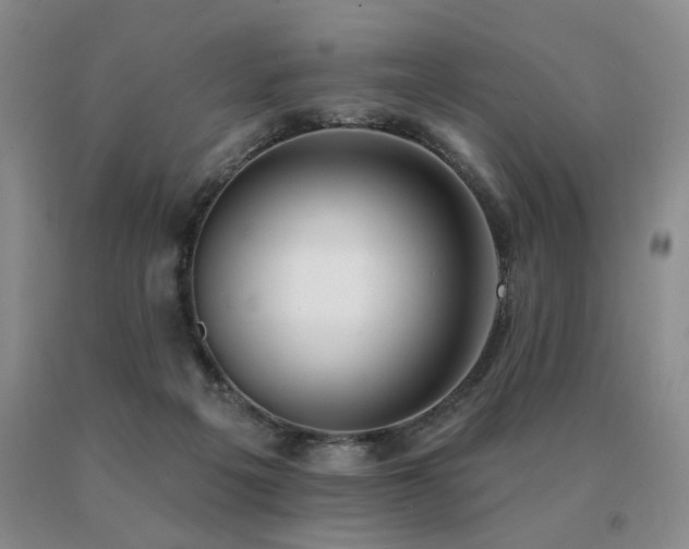 X0000091070217200708061308