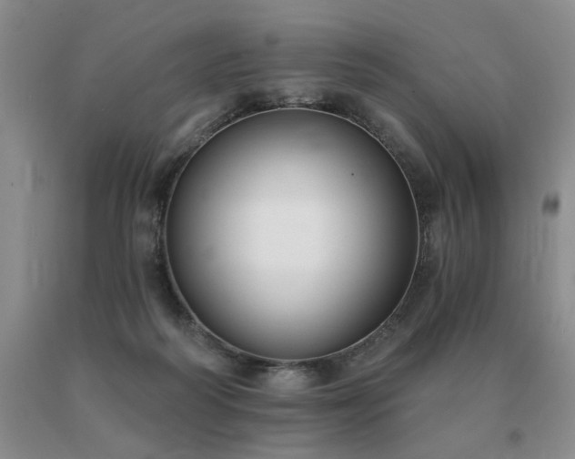 X0000091070218200708061308
