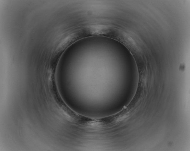 X0000091070219200708061308