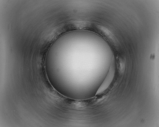 X0000091070221200708061308