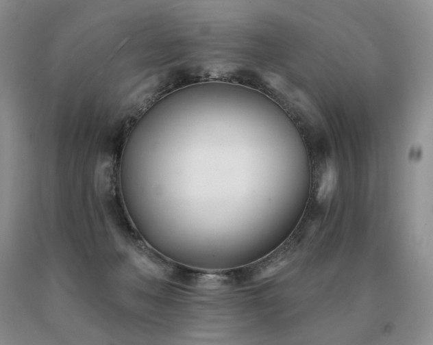 X0000091070222200708061308