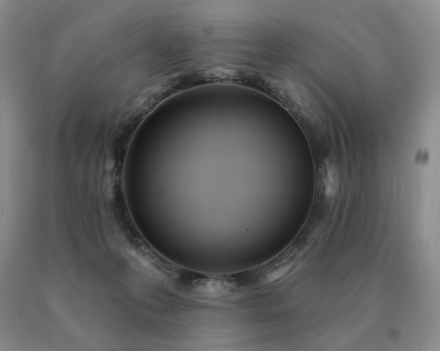 X0000091070223200708061308