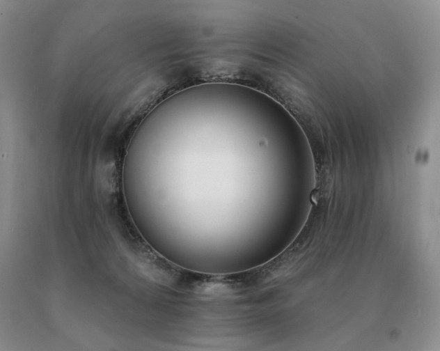 X0000091070224200708061308
