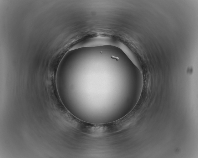 X0000091070225200708061308
