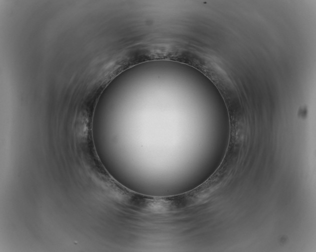 X0000091070226200708061308