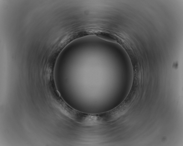 X0000091070227200708061308