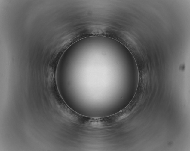 X0000091070228200708061308