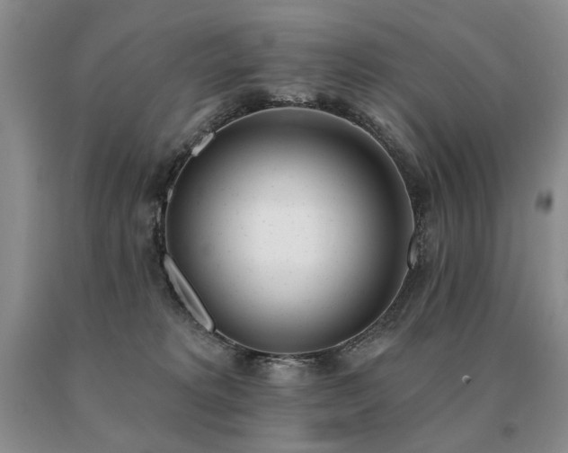 X0000091070229200708061308