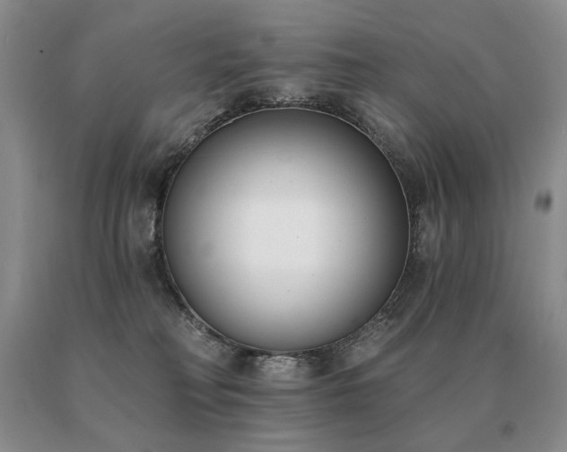 X0000091070230200708061308