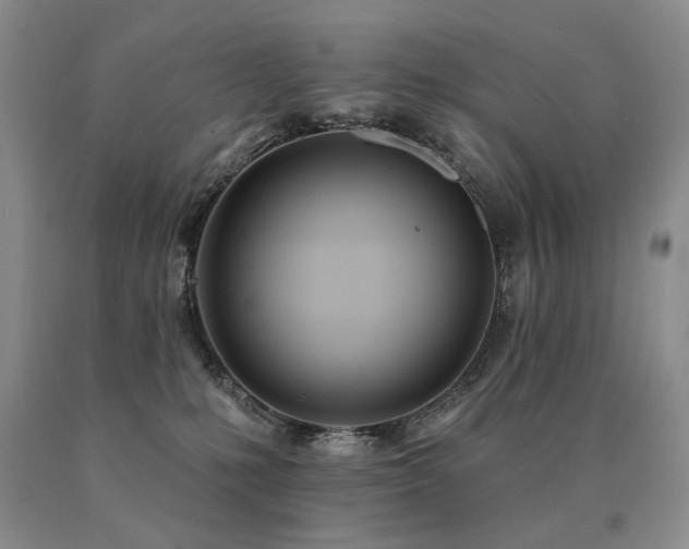 X0000091070231200708061308