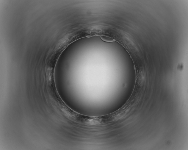 X0000091070232200708061308