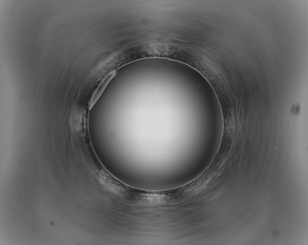 X0000091070233200708061308