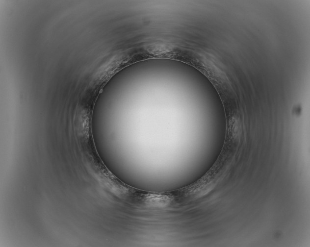 X0000091070234200708061308