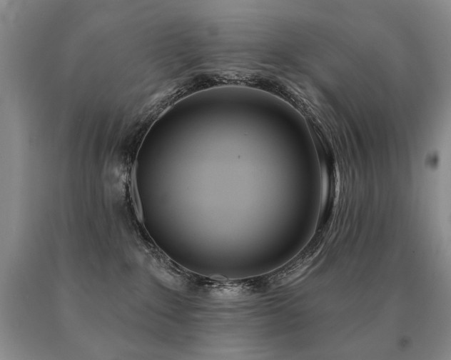 X0000091070235200708061308