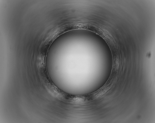 X0000091070236200708061308