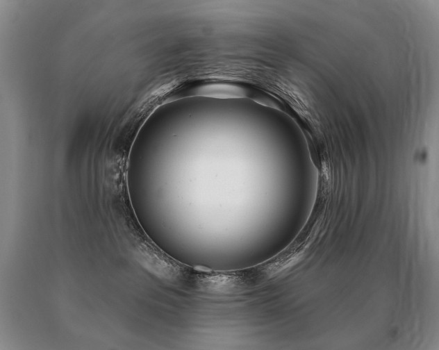 X0000091070237200708061308