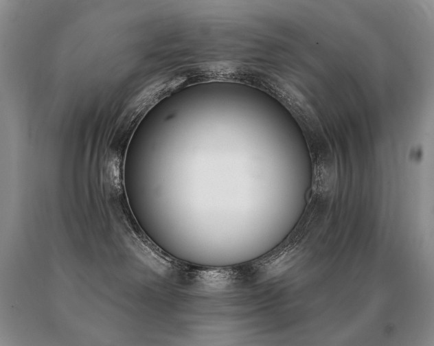 X0000091070238200708061308