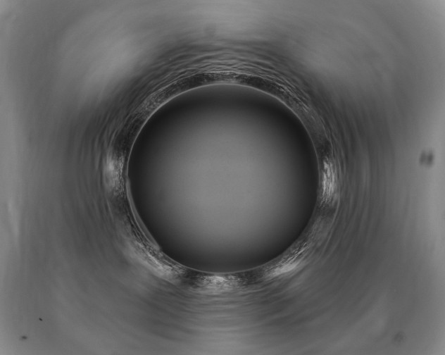 X0000091070239200708061308