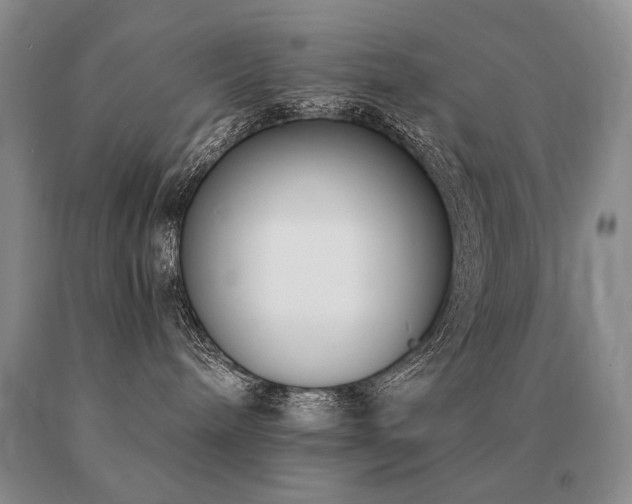 X0000091070240200708061308