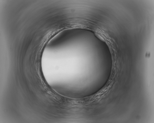 X0000091070241200708061307
