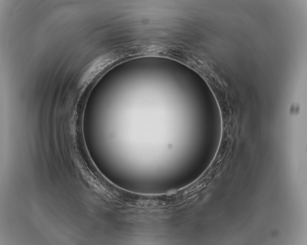 X0000091070242200708061307