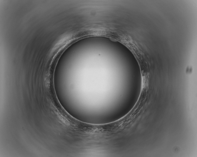 X0000091070243200708061307