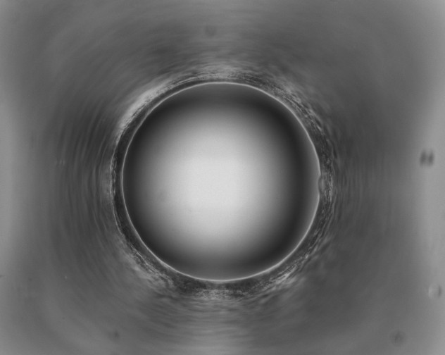 X0000091070244200708061307