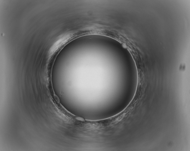 X0000091070245200708061307