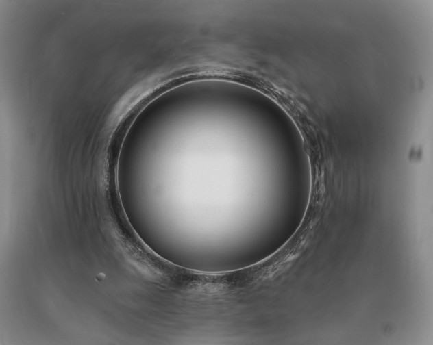 X0000091070247200708061307