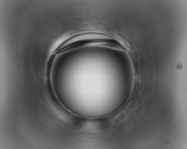 X0000091070248200708061307
