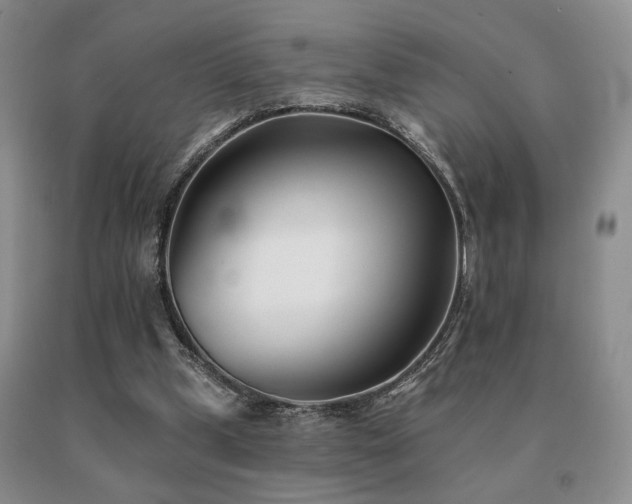 X0000091070249200708061307