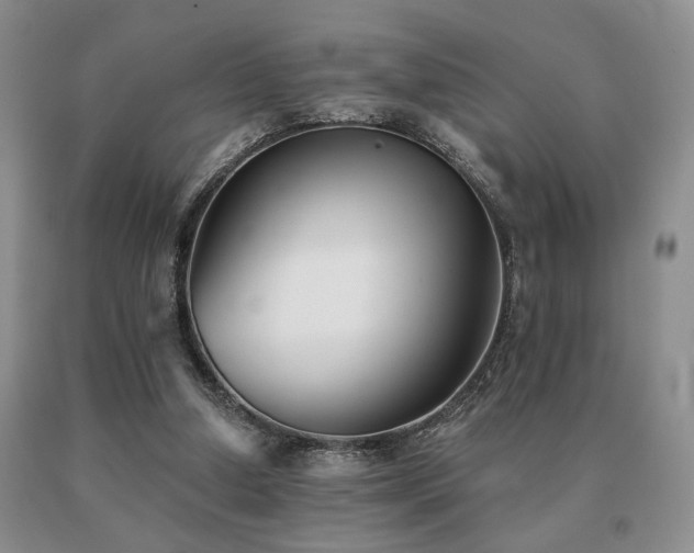 X0000091070250200708061307