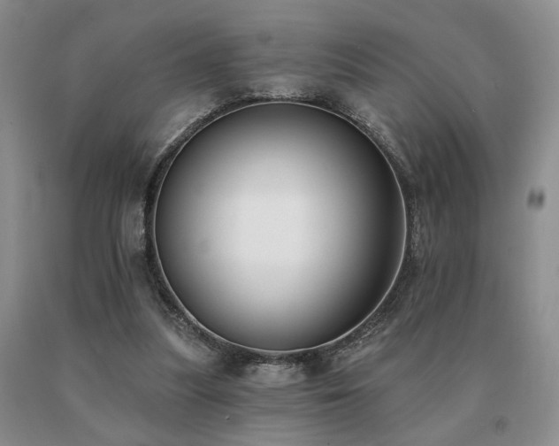 X0000091070251200708061307