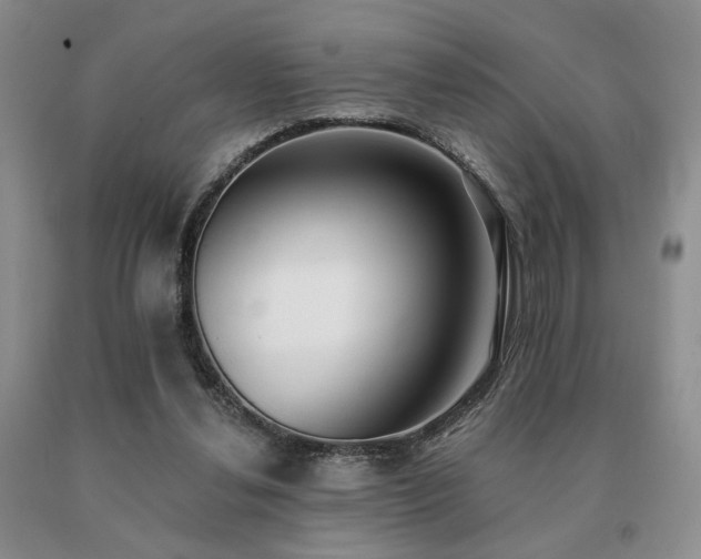 X0000091070252200708061307