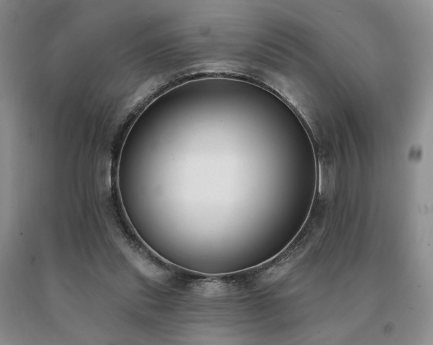 X0000091070253200708061307
