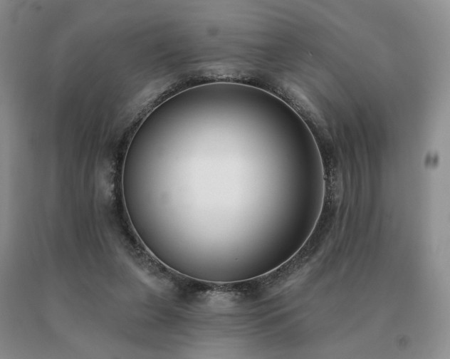 X0000091070255200708061307