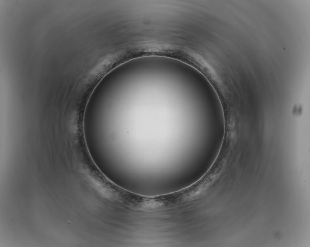 X0000091070257200708061307