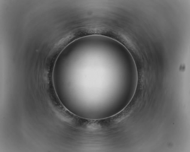 X0000091070258200708061307