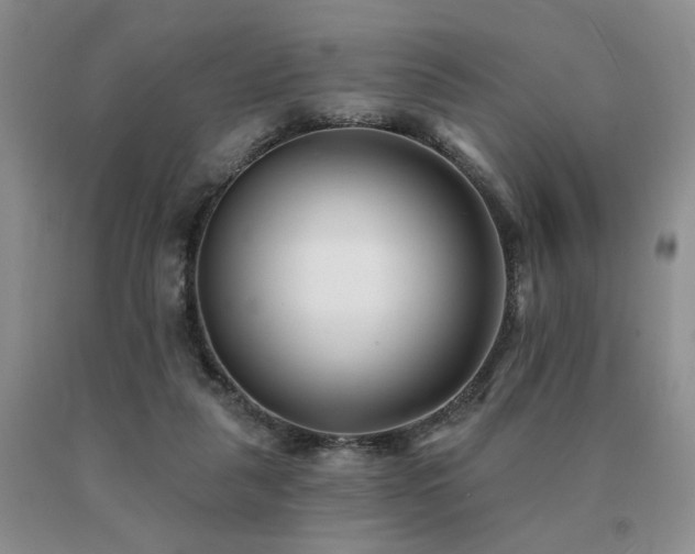 X0000091070259200708061307
