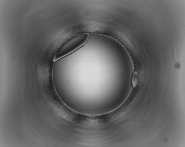 X0000091070260200708061307