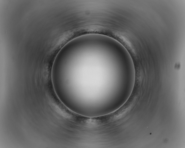 X0000091070261200708061307