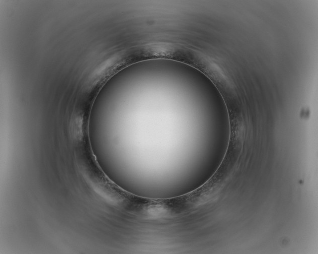 X0000091070262200708061307