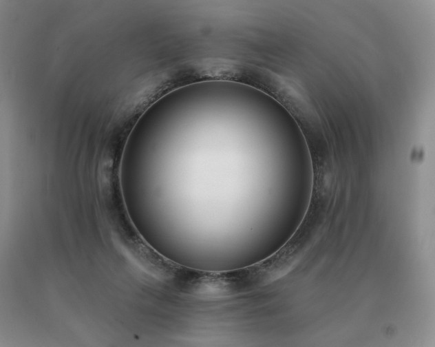 X0000091070263200708061307