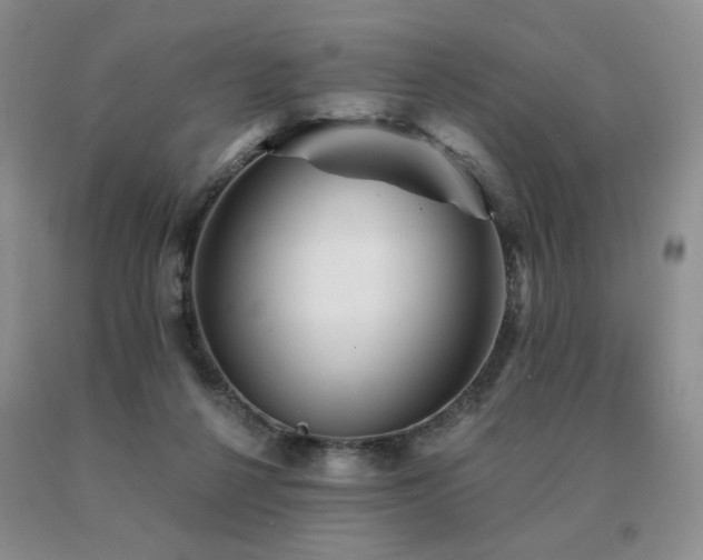 X0000091070264200708061307