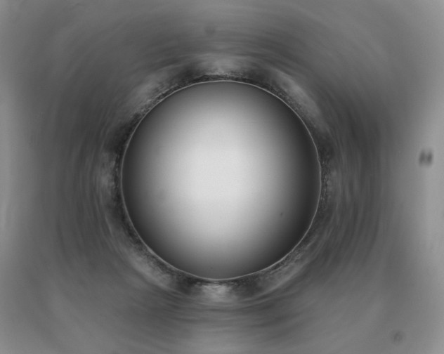 X0000091070265200708061307