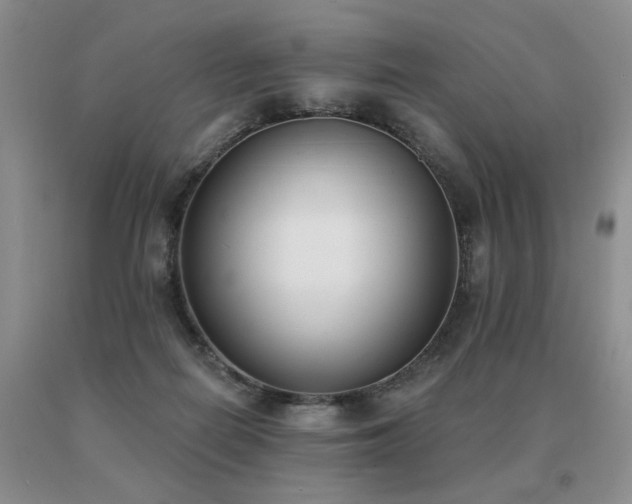 X0000091070266200708061307