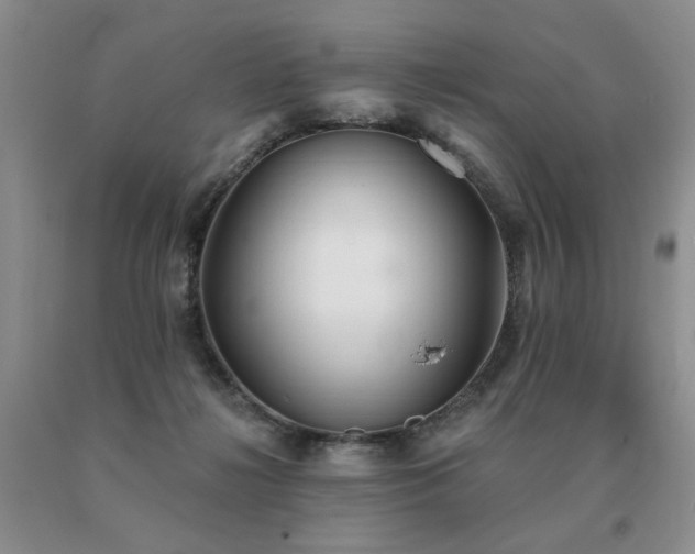 X0000091070268200708061307